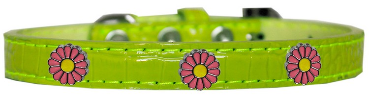 Pink Daisy Widget Croc Dog Collar Lime Green Size 14